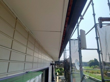 16904552372481
