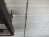 DSCF7771 DSCF7771