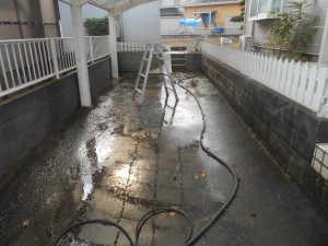 DSCN3139