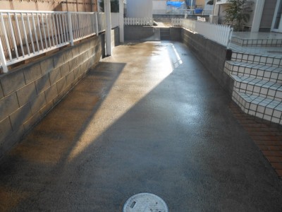DSCN3141