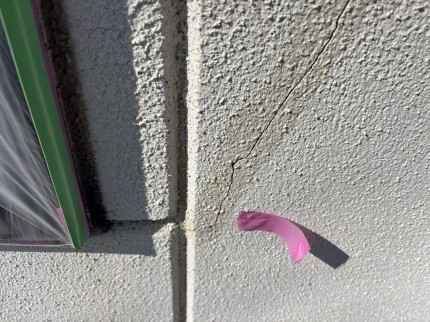 IMG_00063-e1771060515307