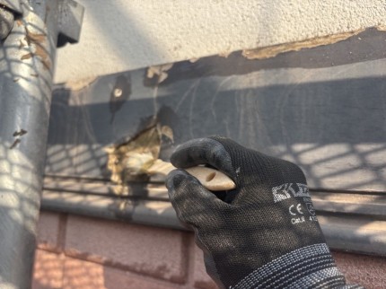 IMG_00532-e1771238727734