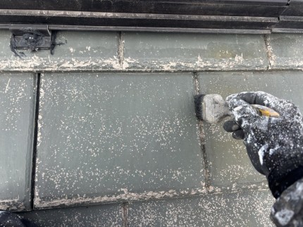 IMG_01163-e1771665728926