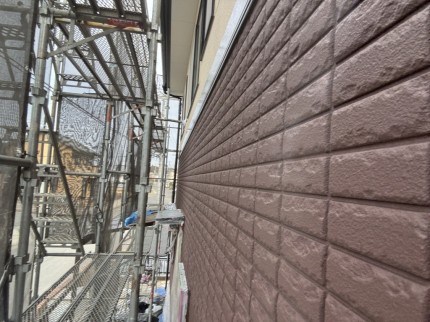 IMG_02142-e1772878733545