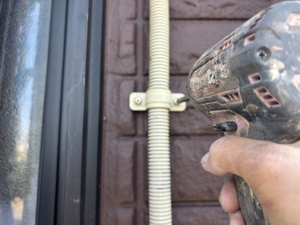 IMG_02371-e1773050616493