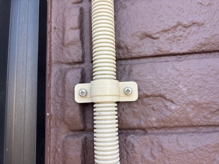 IMG_0238-e1773050655272