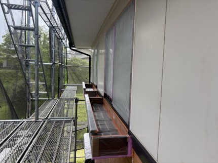 IMG_1008 IMG_1008