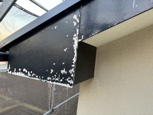 IMG_10261