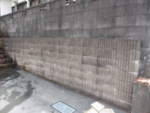 IMG_1707