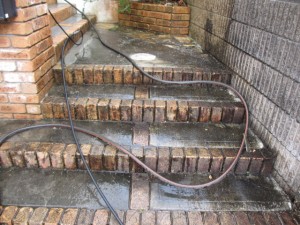 IMG_1708