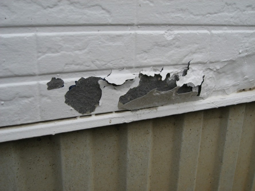 IMG_2031 IMG_2031