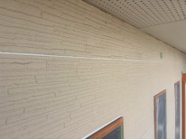 IMG_24351