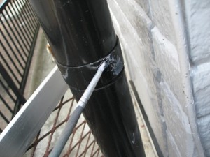 IMG_2438 IMG_2438