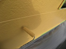 IMG_2459 IMG_2459
