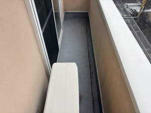 IMG_2800 IMG_28001