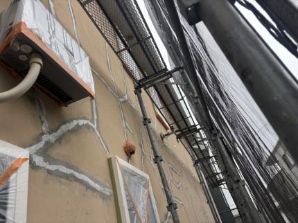 IMG_2915 IMG_29151