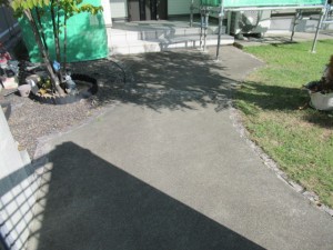 IMG_3658