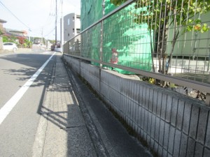 IMG_36621
