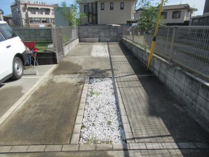 IMG_3670
