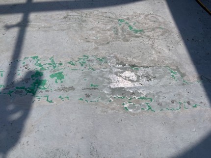 IMG_6977-e1749463706663