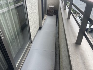 IMG_71021