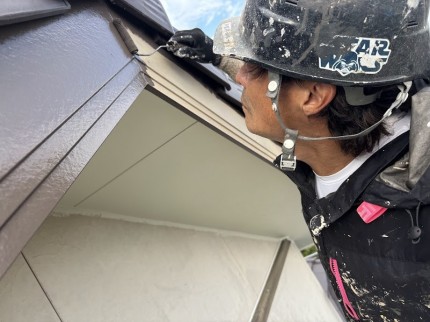 IMG_7768-e1754907051971