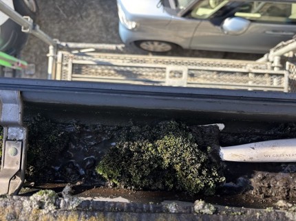 IMG_9042 IMG_9042-e1762756167453