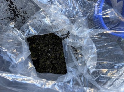 IMG_9060-e1762756328973