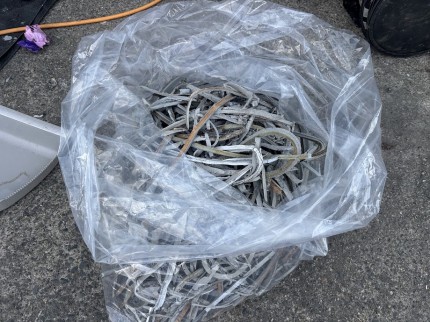 IMG_9107 IMG_9107-e1762936238907