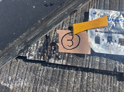 IMG_9196-e1763806203330