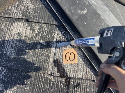 IMG_9204-e1763806253769