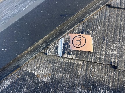 IMG_9207-e1763806292372