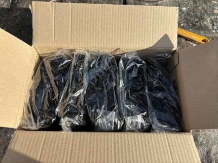 IMG_9252-e1764148221564