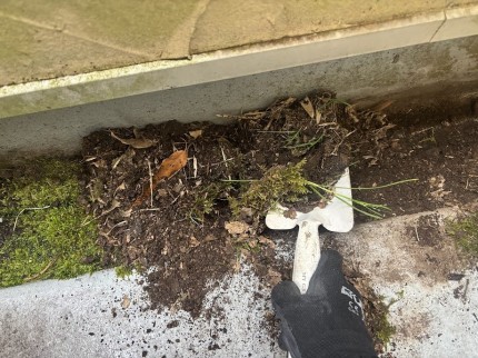 IMG_9710-e1767956936506