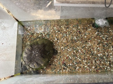 IMG_9712-e1767956111287