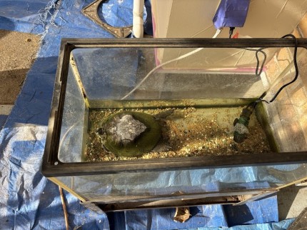 IMG_9769 IMG_9769-e1768559428525