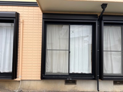 b937e8a2f26a2e9685b99c94a5f26d1d