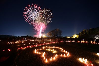 ライトアップ夜梅