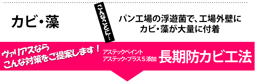 カビ、藻　パン工場の浮遊菌で工場外壁にカビ、藻が大量に付着　ヴァリアスならこんな対策をご提案！　アステックプラスＳ添加　長期防カビ工法