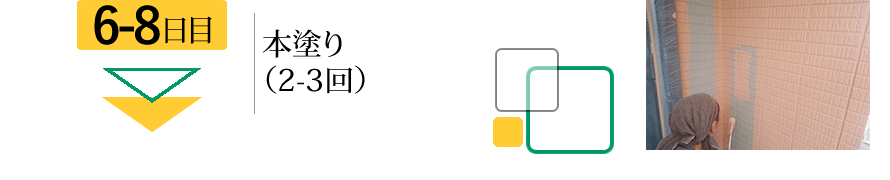 6-8日目　本塗り（2-3回）