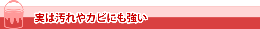 実は汚れやカビにも強い