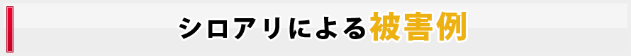 シロアリ被害例